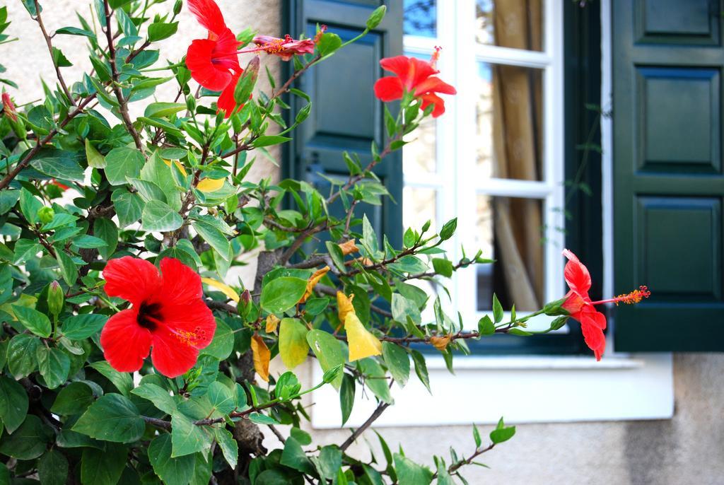 Hotel Twin House Spetses Esterno foto