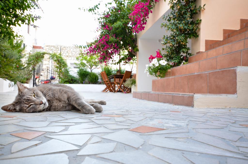 Hotel Twin House Spetses Esterno foto